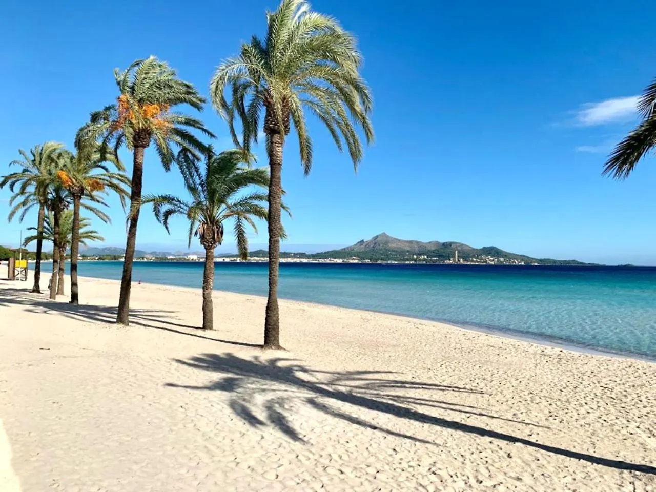 El Paraiso Alcúdia 0*,